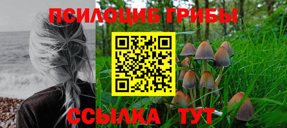 Родники  Галлюциногенные грибы Psilocybe  Вход с VPN  Галлюциногенные грибы ЛСД 