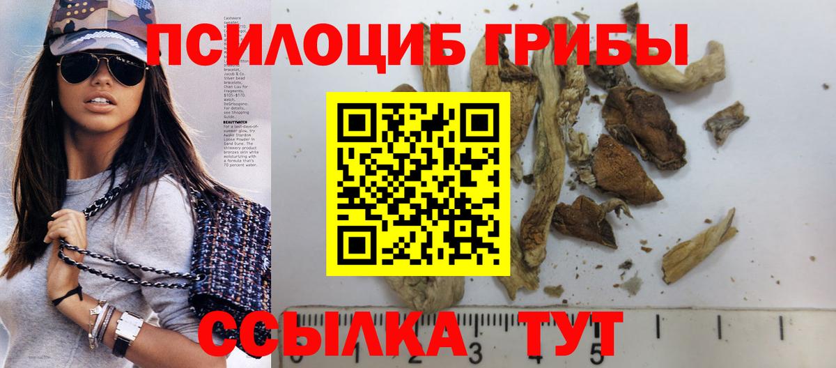 Галлюциногенные грибы MAGIC MUSHROOMS Родники